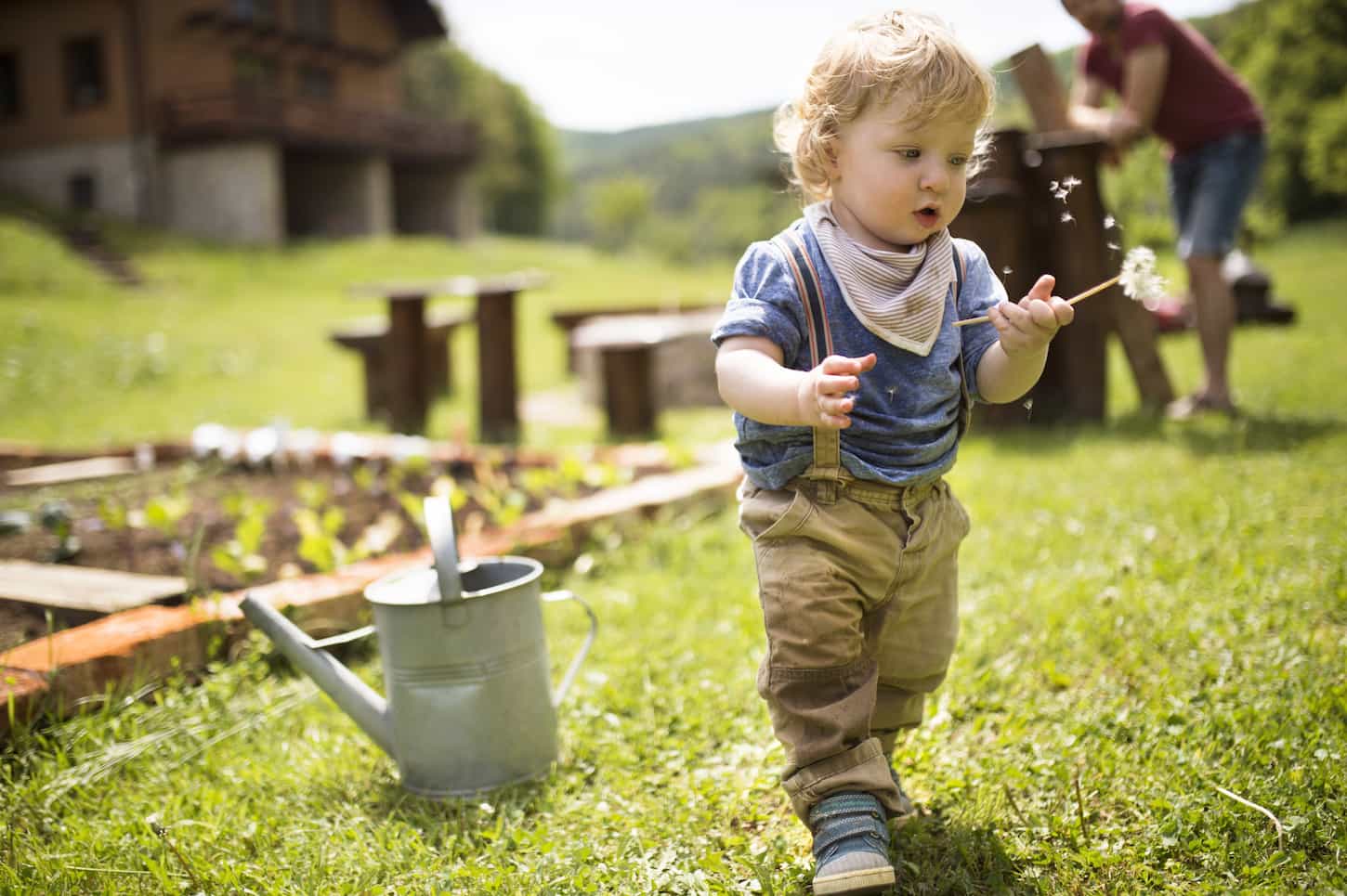 An image of a Boy playing in the garden with a watering can and a father in background.